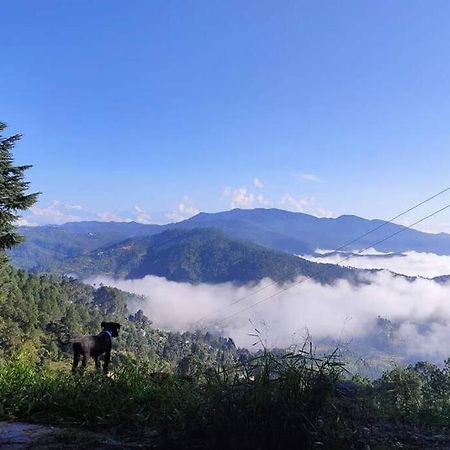 알모라 Little Himalayan Abode 빌라 외부 사진