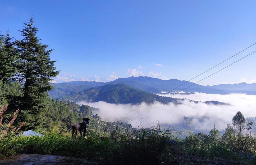 알모라 Little Himalayan Abode 빌라 외부 사진
