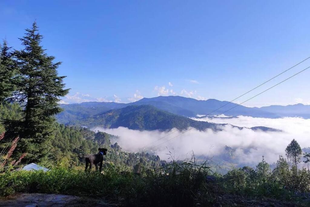 알모라 Little Himalayan Abode 빌라 외부 사진