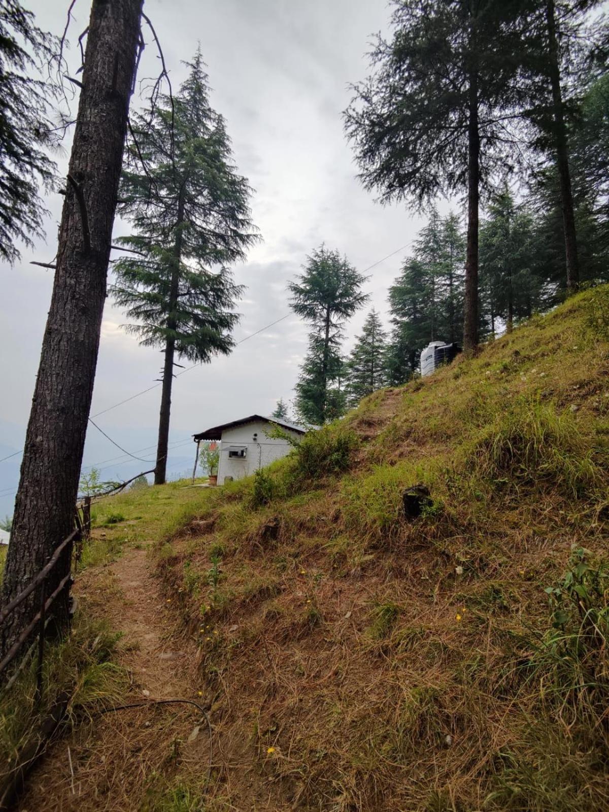알모라 Little Himalayan Abode 빌라 외부 사진